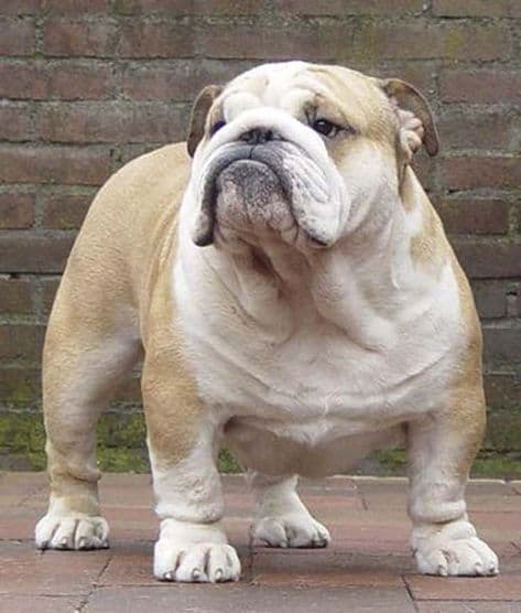 Woman listing to music