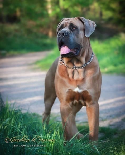 Woman listing to music