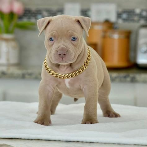 Woman listing to music