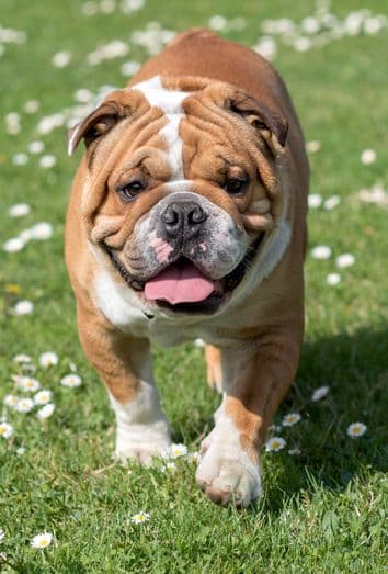 Woman listing to music